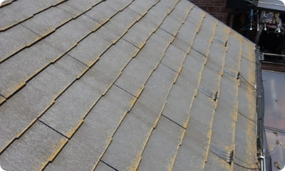 コロニアルNEOの画像