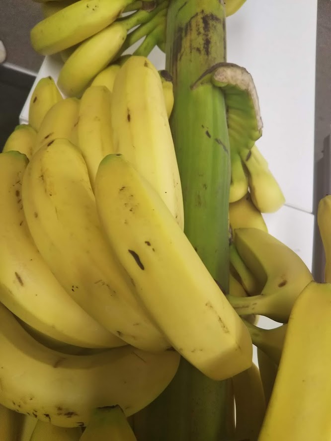 郡山市　外壁塗装　屋根塗装