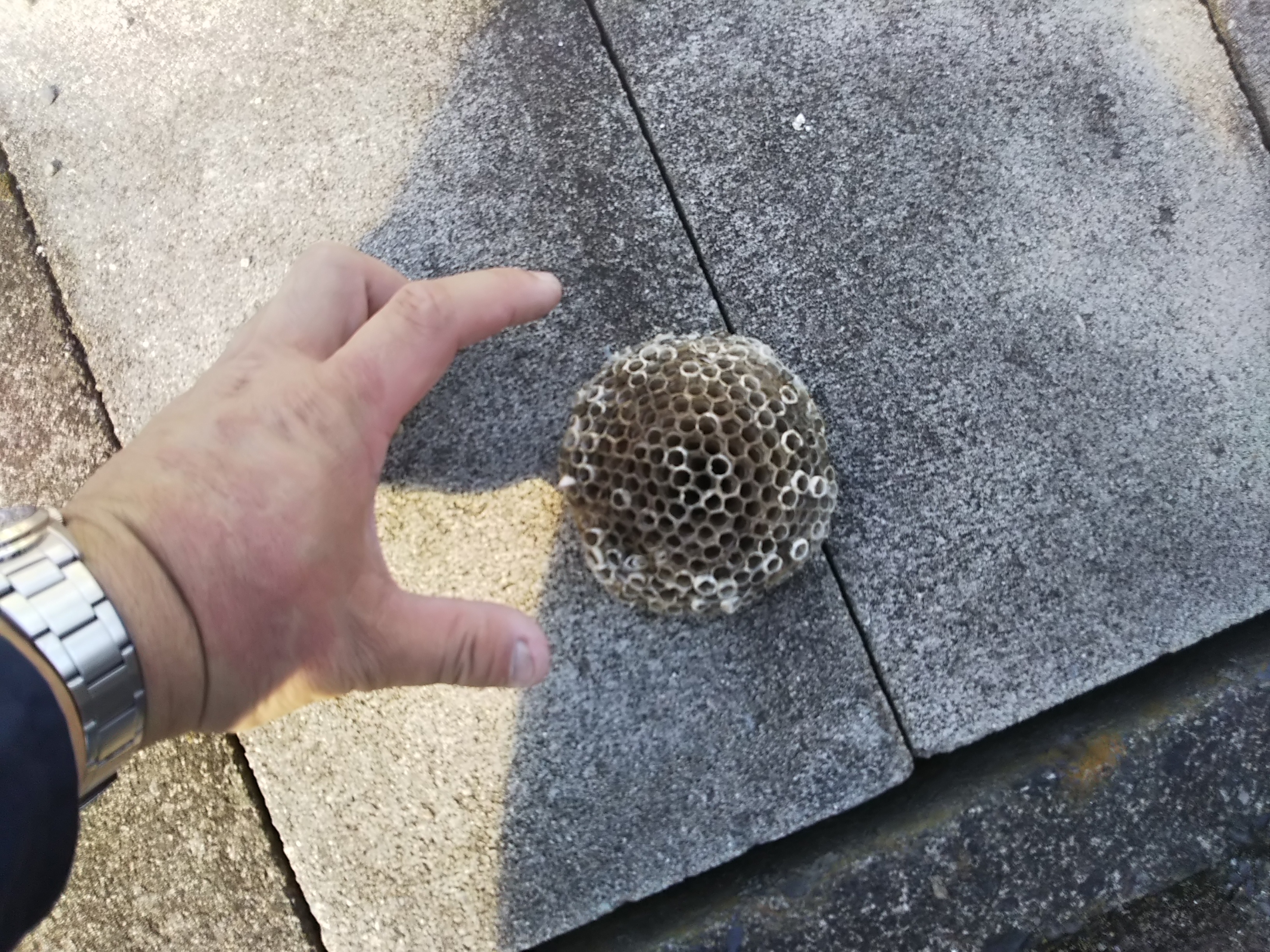 郡山市　リフォーム