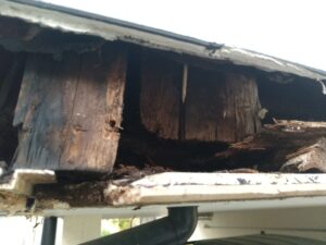 雨漏れによる内部の劣化状況