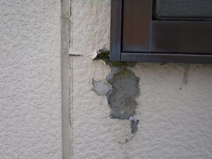 窯業系サイディングボード・凍害