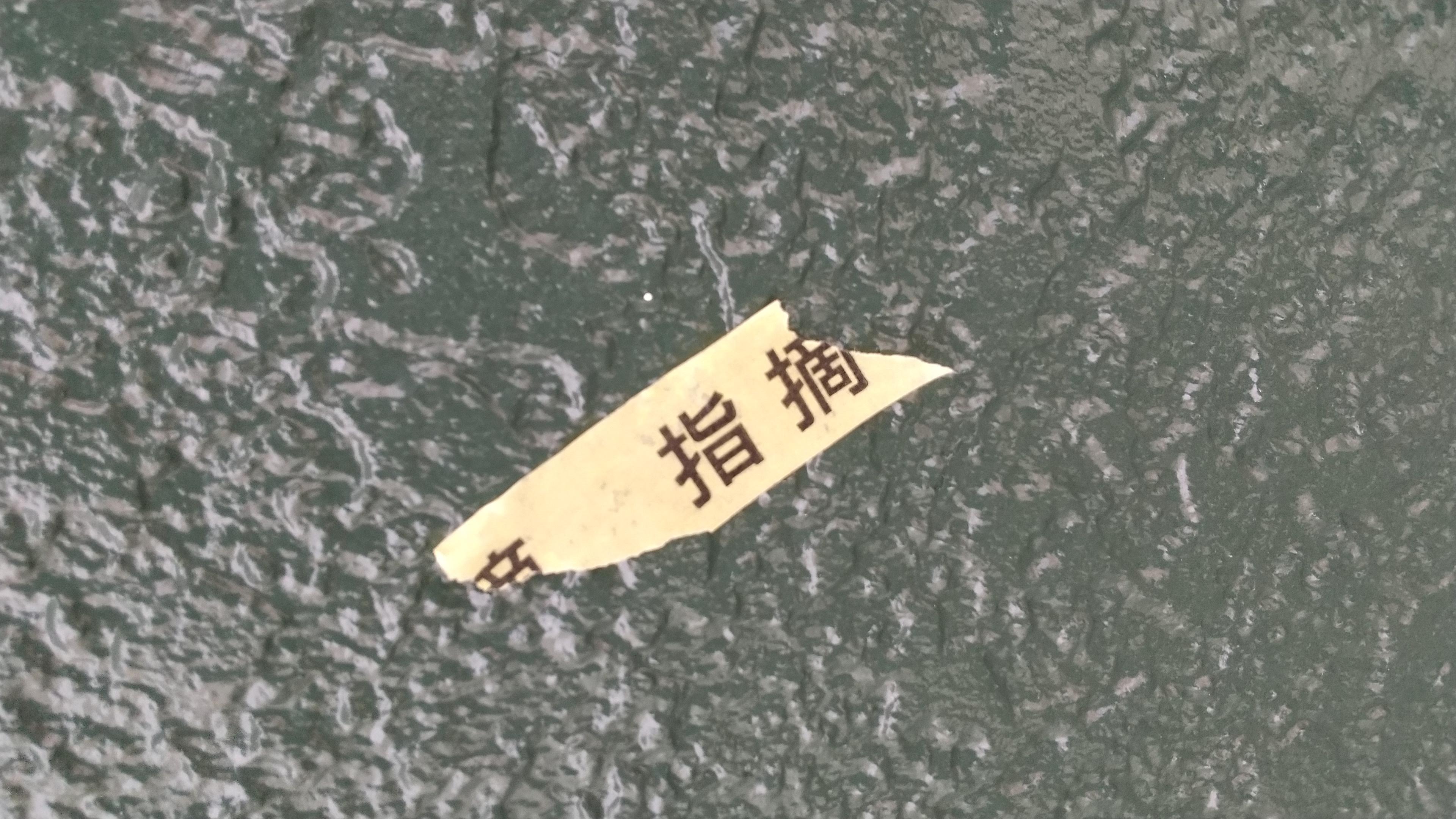 社内検査